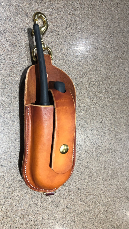 Leather Garmin Case