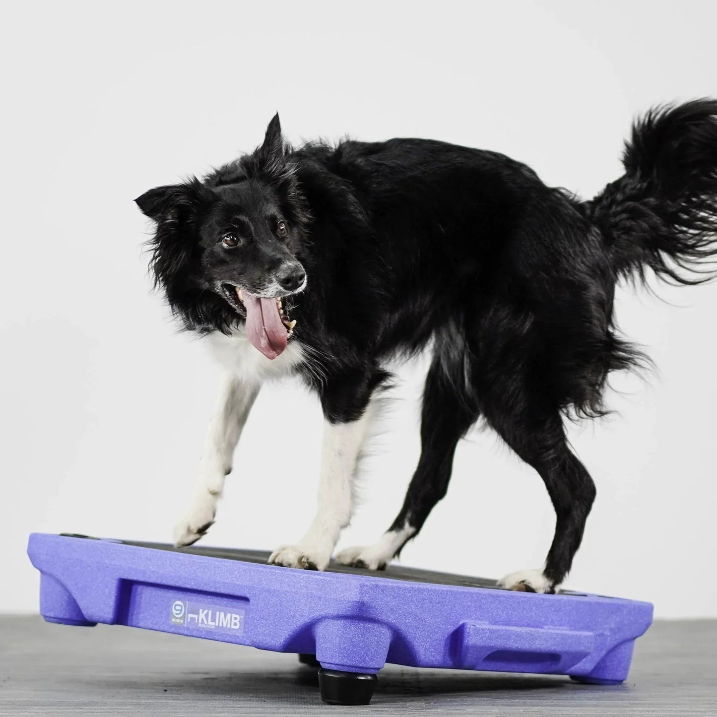 KLIMB Dog Training Platform - The Ultimate Dog Training Tool