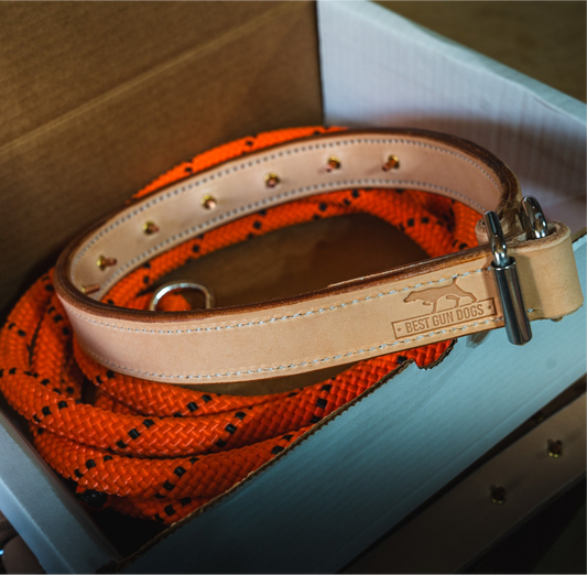 Leather Training Collar