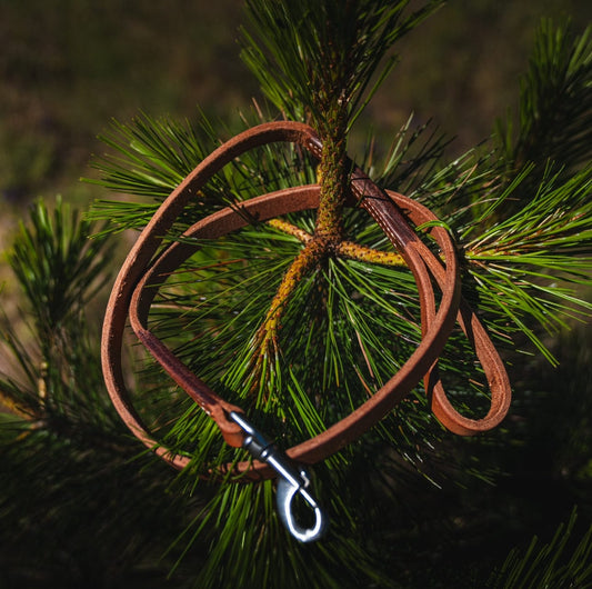 Premium Handcrafted 4' Leather Dog Leash - Durable & Stylish for Outdoor Adventures