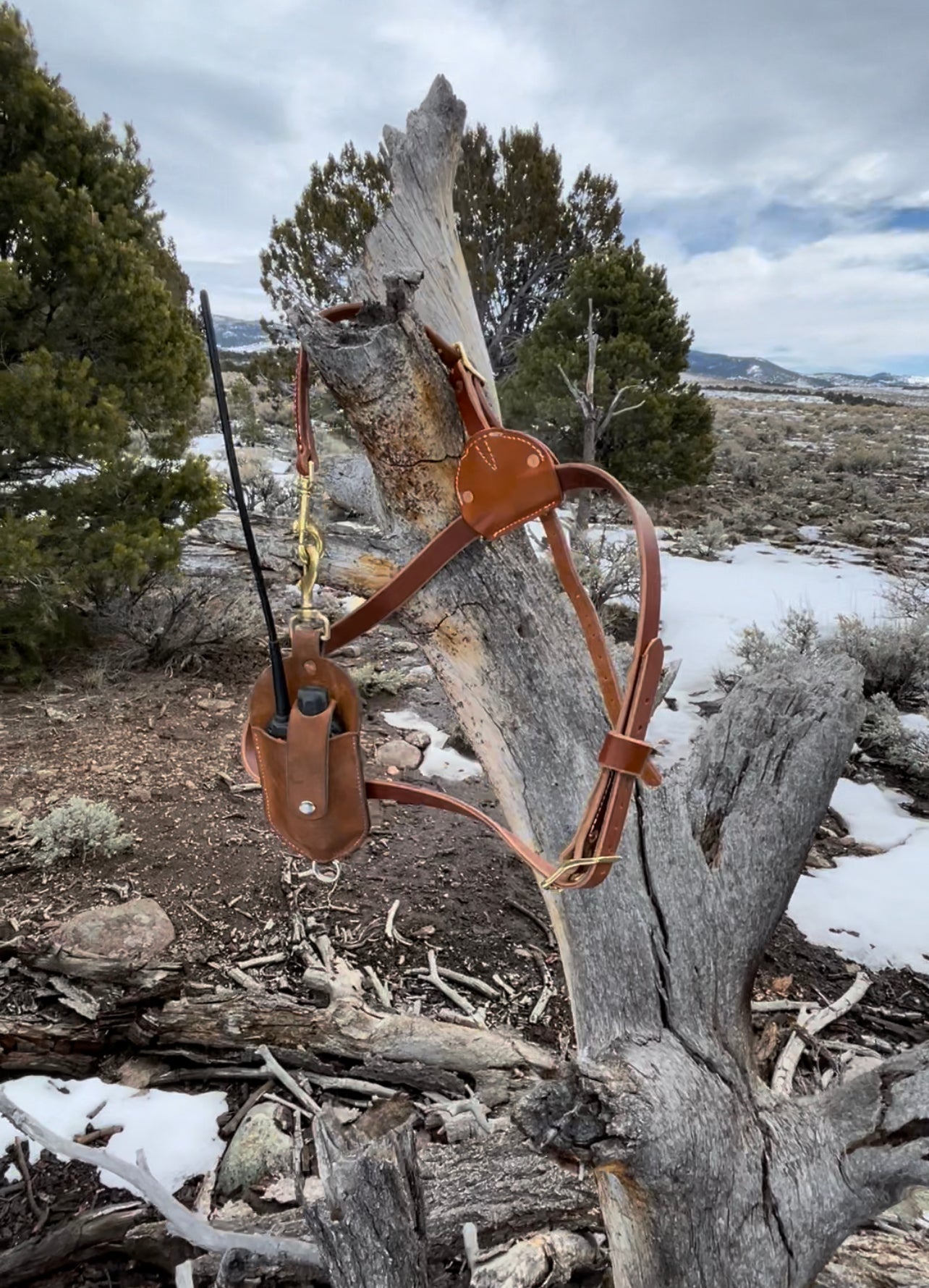 Complete leather Harness and Garmin holster
